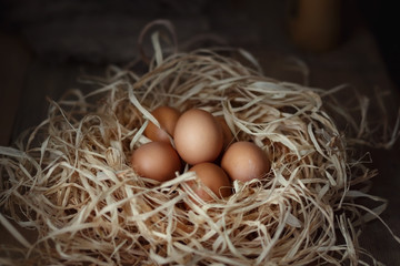 Chicken eggs in the straw nest on wooden boards, closeup. Selective focus. Low key.
