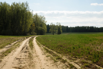 Fototapeta na wymiar Dirty country road in Moscow Region, Russia
