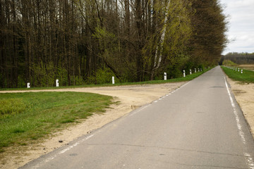 Asphalt road in Belovezhskaya Pushcha, Belarus