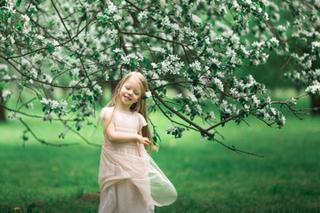 Little girl is walking in an apple garden