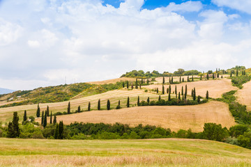 winding road flanked with cypresses in crete senesi Tuscany, Italy