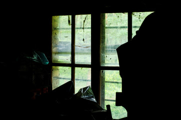 silhouettes of things forgotten framing an old window covered with spider's web showing just a hint of beautiful nature outside