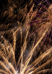 Beautiful fireworks illuminate the sky_13