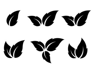 Fototapeta premium black leaf icons set