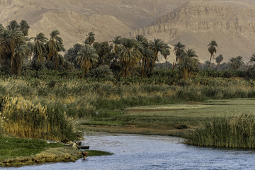 Fototapety  Rejs po Nilu