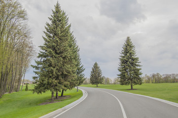 Long asphalt road. Forest, lawn and grey sky, landscape background. Spring or summer. 