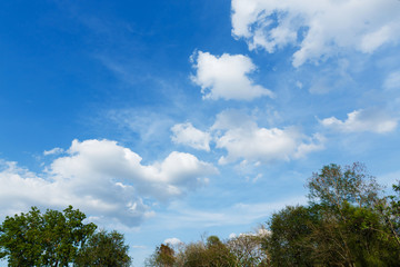 Blue sky and white cloud