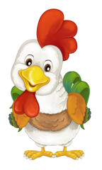 Cartoon happy farm animal - cheerful rooster is standing smiling and looking - artistic style - isolated - illustration for children