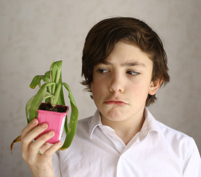 frustrated teenager boy with dead pot plant close up photo