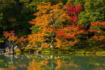 Obraz premium Jesień nad jeziorem świątyni Tenryu-ji w Arashiyama w Japonii