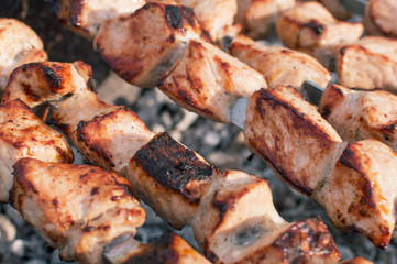 grilled meat on skewers and grill