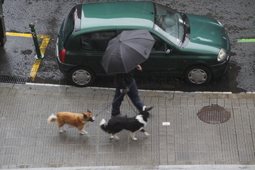 Lluvia