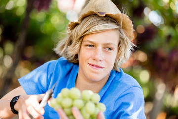 Boy in vineyard