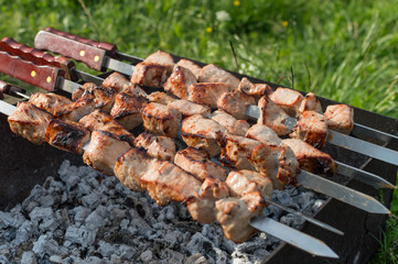 grilled meat on skewers and grill