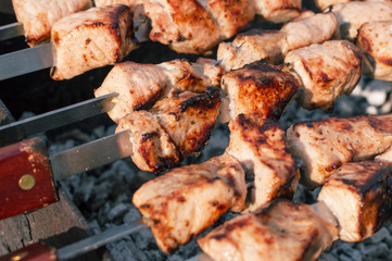 grilled meat on skewers and grill
