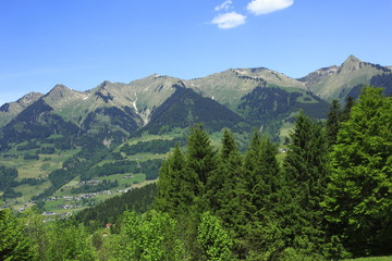 Fototapeta na wymiar Panoramaweg Ludescher Berg