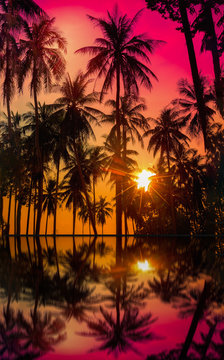 Silhouette coconut palm trees on beach at sunset. Vintage tone.