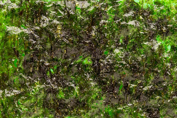 Texture of a nori seaweed sheet