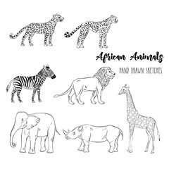 African animals set