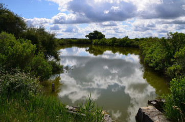 Le Teich Bassin d'Arcachon miroir de nuages