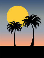 palm trees silhouette with sunset