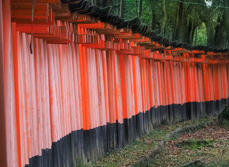Red torii gate in Fushimi Inari Shrine. The most famous landmarks in Kyoto. Japan