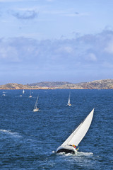 Obraz premium Sailboats on the windy sea