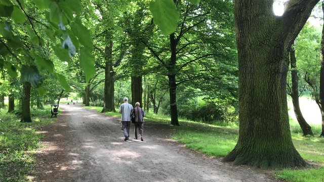 Senior couple enjoying walking in the summer Park