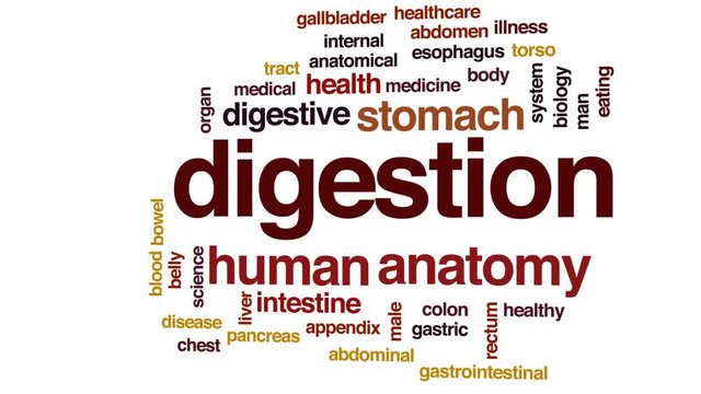 Digestion animated word cloud, text design animation.