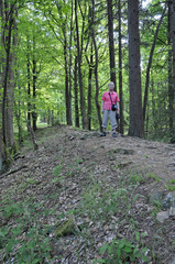 Obraz premium eine frau steht auf resten des keltischen ringwalls am donnersberg