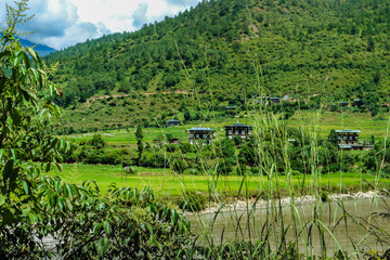 Fototapeta na wymiar Bhutanese village near the river at Punakha, Bhutan
