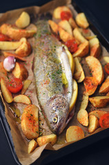 Roasted trout with potatoes in herbs