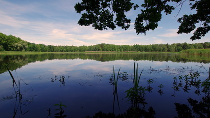 Dolina Baryczy - polskie stawy rybne w otoczeniu zieleni