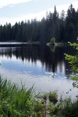 Obraz premium Russian nature