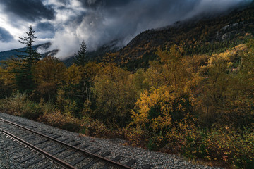 Fototapeta premium Railroad in the Yukon Territory Autumn 