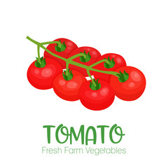 Fototapeta na wymiar Vector tomato isolated on white background.Vegetable illustration for farm market menu. Healthy food design poster. Cartoon style vector illustration