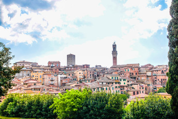 Naklejka premium Scenery of Siena, a beautiful medieval town in Tuscany, Italy