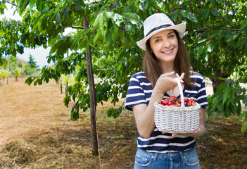 Woman collecting cherries.