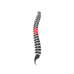 Vector human spine isolated silhouette illustration. Spine pain medical center, clinic, institute.