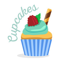 Cupcake or muffin vector illustration
