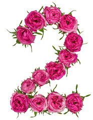 Arabic numeral 2, two, from red flowers of rose, isolated on white background