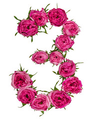 Arabic numeral 3, three, from red flowers of rose, isolated on white background
