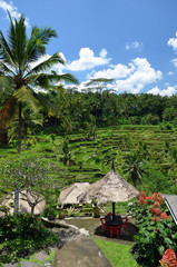 Fototapeta na wymiar Ubud palace, Bali, Indonesia..