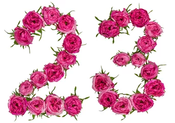 Papier Peint photo Des fleurs Chiffre arabe 23, vingt-trois, de fleurs rouges de rose, isolé sur fond blanc