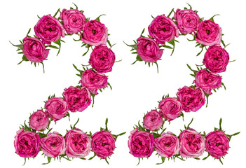 Arabic numeral 22, twenty two, from red flowers of rose, isolated on white background