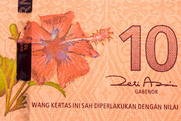 Close up Malaysia Ringgit currency note
