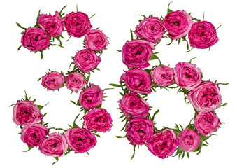 Arabische Zahl 36, 36, aus roten Rosenblüten, isoliert auf weißem Hintergrund