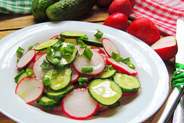 Spring salad with radishes and cucumber