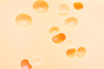 cheese background