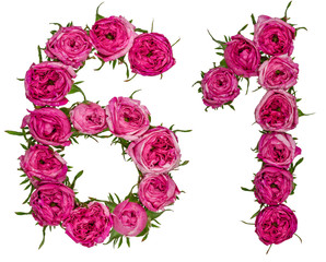 Arabic numeral 61, sixty one, from red flowers of rose, isolated on white background